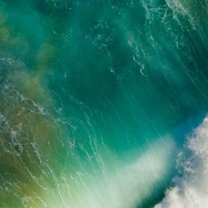 Meet your Posher, Joseph